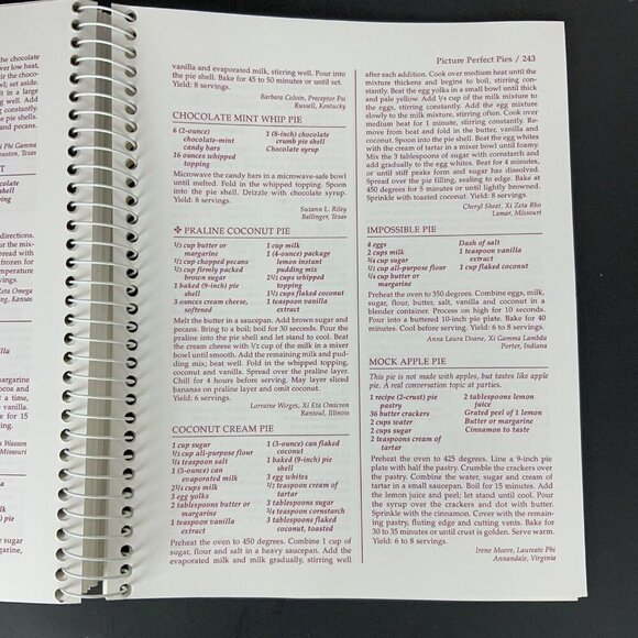 Lets Party Cookbook Beta Sigma Phi International 1996 Spiral Bound - Picture 16 of 16